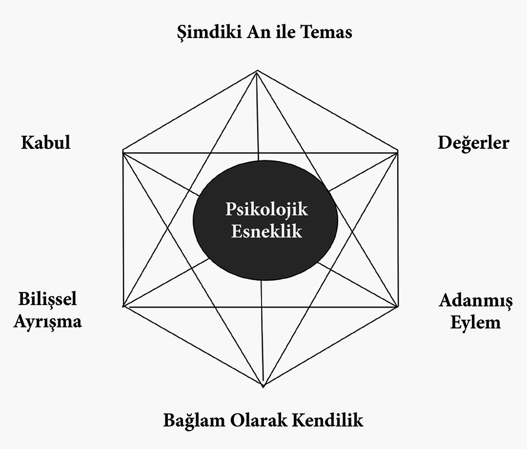 Kabul ve Kararlılık Terapisi Eğitimi